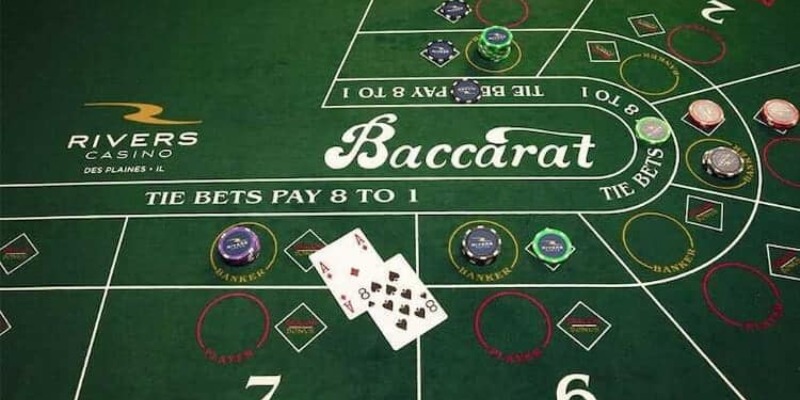 Một số cửa cược trong baccarat online