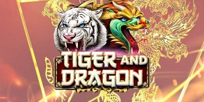 Chiến thuật chơi Dragon Tiger tối ưu