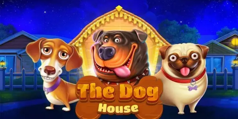 Tổng quát vê The Dog House